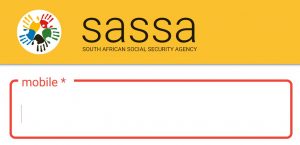 sassa srd grant online application